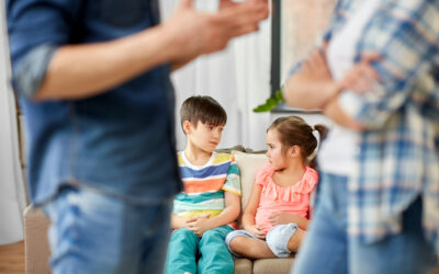 Causes and impact of family conflict